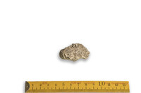 F 08840
          <br/>
          
          <br/>
          <em></em>
